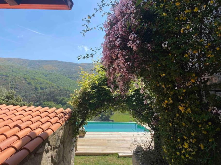 La Loba - Un Pequeno Paraiso A Tu Alcance Villa Fornelos de Montes Exterior photo