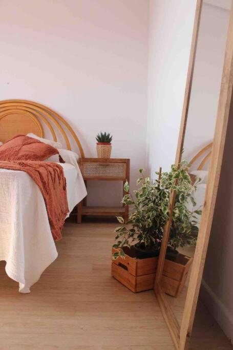 La Loba - Un Pequeno Paraiso A Tu Alcance Villa Fornelos de Montes Exterior photo